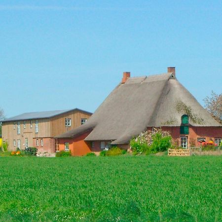 Апартаменти "Hof Triangel - Whg 2" - Bauernhofurlaub Riepsdorf Екстер'єр фото
